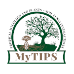 logo MyTIPS